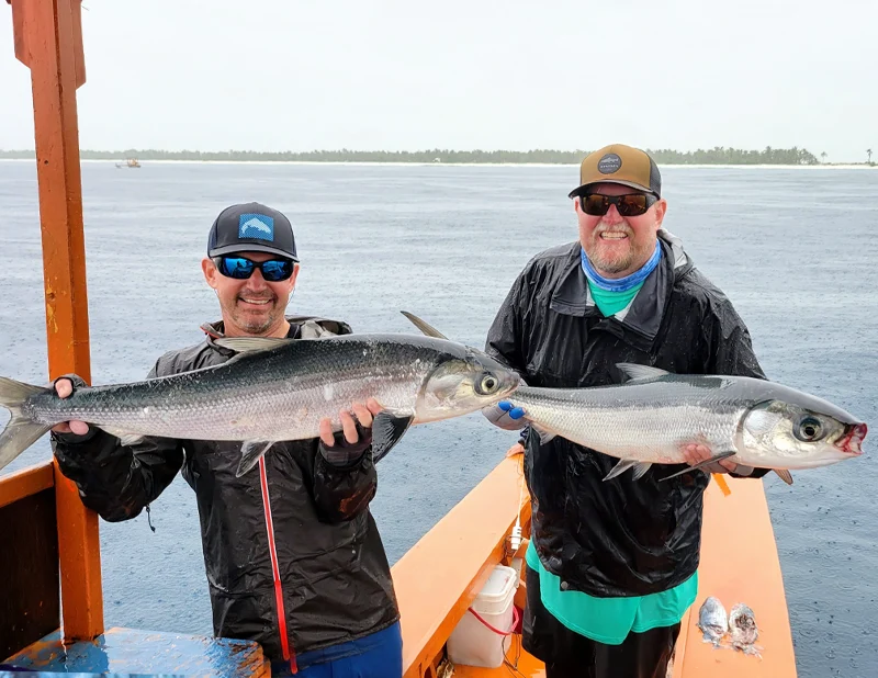 Milkfish Anglers Rob and Chad with milkfish from The Villages at Christmas Island.