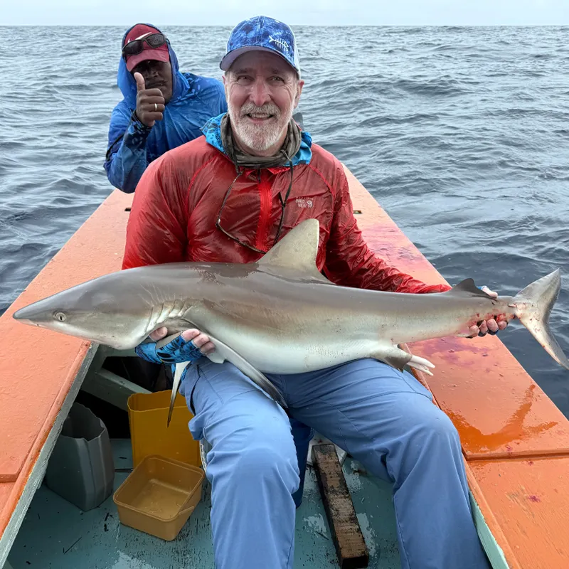 Shark meat is  often eaten for the evening meal at The Villages.